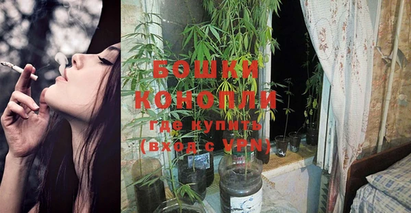 ПСИЛОЦИБИНОВЫЕ ГРИБЫ Баксан