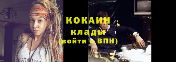 ПСИЛОЦИБИНОВЫЕ ГРИБЫ Баксан