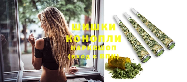 ПСИЛОЦИБИНОВЫЕ ГРИБЫ Баксан