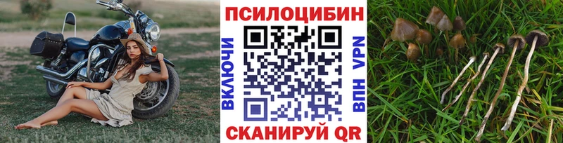 Галлюциногенные грибы мицелий  Верхнеуральск 